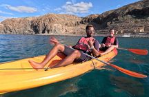 Kayaking in Palm Mar with Dolphin and Turtle Watching