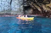 Kayaking in Palm Mar with Dolphin and Turtle Watching