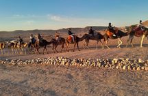 Agafay Sunset Tour: Quad, Camel Ride & Dinner Show