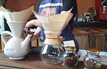 From Seed to Cup a Coffee Plantation Experience