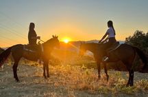 Free Range Horse Riding Tour