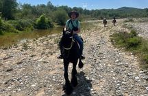Free Range Horse Riding Tour