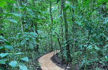 Bijagua Rainforest with Sloths and Floating Birdwatching