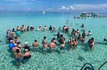 Cayman Best Stingray City Reef Snorkel and Starfish Point Tour