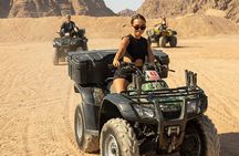 Quad Biking and Camel Ride in Sharm El Sheikh