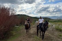 Free Range Horse Riding Tour