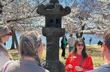 DC in Spring: Cherry Blossom & Tidal Basin Memorials Walking Tour