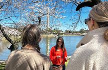 DC in Spring: Cherry Blossom & Tidal Basin Memorials Walking Tour