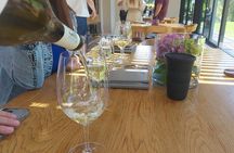 Cape Wine Experience Full-Day Tour!