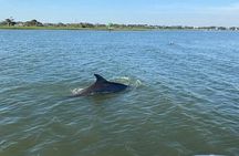 Dolphin Discovery Sunset Cruise