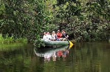 Bijagua Rainforest with Sloths and Floating Birdwatching