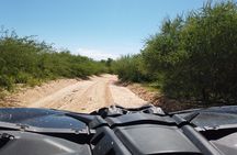 Private Can-Am Maverick X3 Off-Road Adventure in Cabo San Lucas