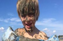 Capers Island Wildlife Exploration