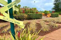 Private Custom Oahu Island Tour (Up to 10 passengers)