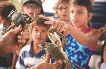 Blue Crabbing Excursion