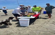 Family Fun Day