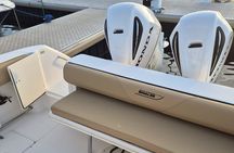 Stingrays City and Snorkeling Half Day in Grand Cayman