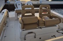 Stingrays City and Snorkeling Half Day in Grand Cayman