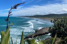 Black Sand Beaches & Birds Auckland Sightseeing Tour