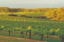 Pinnacles Desert, Yanchep and Swan Valley with Lunch