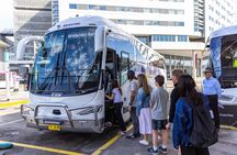 Sydney Airport Transfer to CBD with Lunch, The Rocks & Bondi Tour