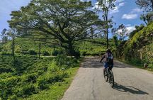 Ella Scenic Cycling Experience