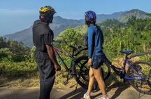 Ella Scenic Cycling Experience