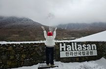 Jeju: UNESCO-Listed Southern Authentic Day Tour