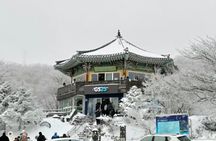 Jeju: UNESCO-Listed Southern Authentic Day Tour