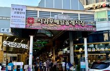 Jeju: UNESCO-Listed Southern Authentic Day Tour