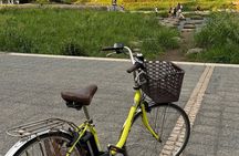 Kyoto E Bike Tour Higashiyama Temples Hidden Alleys