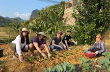 From Hanoi: Lang Son UNESCO Geopark & Countryside Day Tour