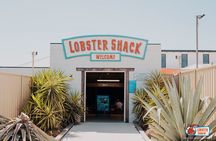 Pinnacles Desert, Koalas and Sandboarding 4WD Day Tour from Perth