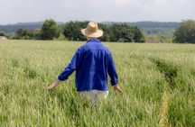 Unique Van Gogh immersive tour in Auvers sur Oise - 1.5 hours