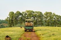 Bel Ombre 4X4 Safari Adventure