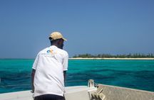 Zanzibar: Amazing white sandbank & snorkeling with BBQ Lunch