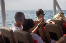 Zanzibar Scenic Stone Town Coastal Cruise and Snorkeling Trip