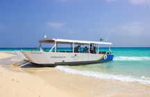 Zanzibar Scenic Stone Town Coastal Cruise and Snorkeling Trip