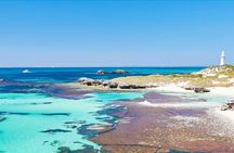 PUBLIC TOUR > Wadjemup Tour Rottnest Island E Bike Adventure