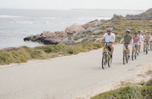 PUBLIC TOUR > Wadjemup Tour Rottnest Island E Bike Adventure