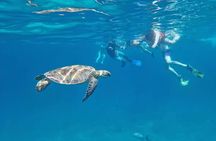 Similan Islands Speedboat Tour Snorkeling From Phuket / Khao Lak