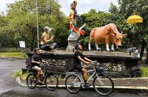 Bali: Sanur Cycling Tour with Market, Ritual & Rice Fields