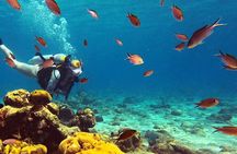 Private Diving Experience – 2 Dives per Person
