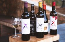 Near Malaga: Mijas Organic Vineyard, 5 Wines, 2 Oils & Tapas