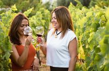 Near Malaga: Mijas Organic Vineyard, 5 Wines, 2 Oils & Tapas