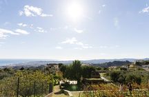 Near Malaga: Mijas Organic Vineyard, 5 Wines, 2 Oils & Tapas