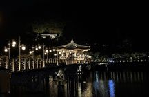 Andong 1 Day Visiting UNESCO Sites by Korean Local Guide