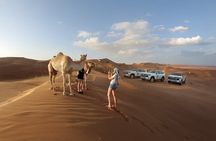 Dubai Evening Desert Safari with BBQ Dinner & Live Shows