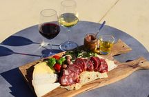 Alghero: guided tour of the winery with wine tasting