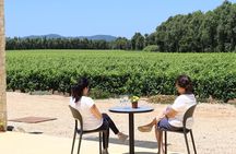Alghero: guided tour of the winery with wine tasting